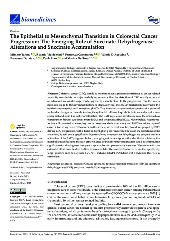 (PDF) The Epithelial to Mesenchymal Transition in Colorectal Cancer ...
