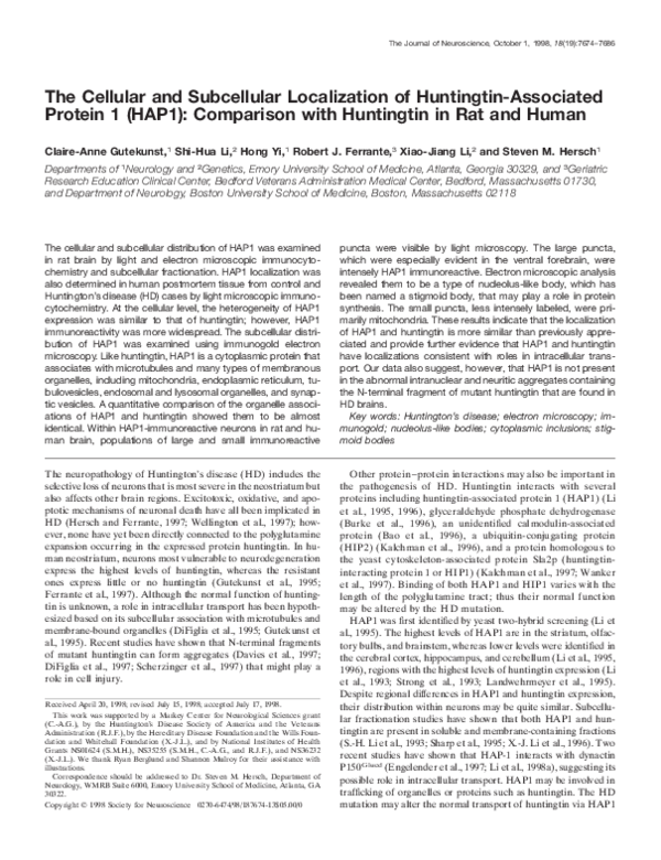 (PDF) Cellular and subcellular localization of Huntington aggregates in ...