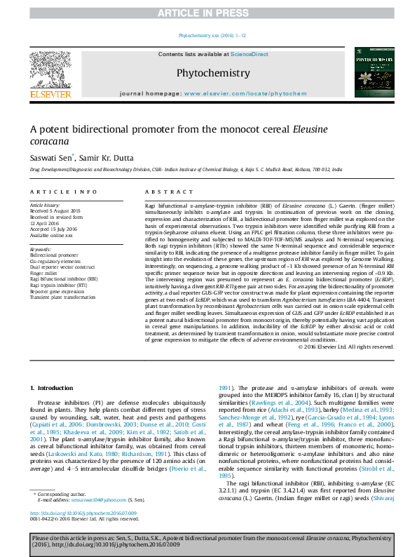 (PDF) A potent bidirectional promoter from the monocot cereal Eleusine ...