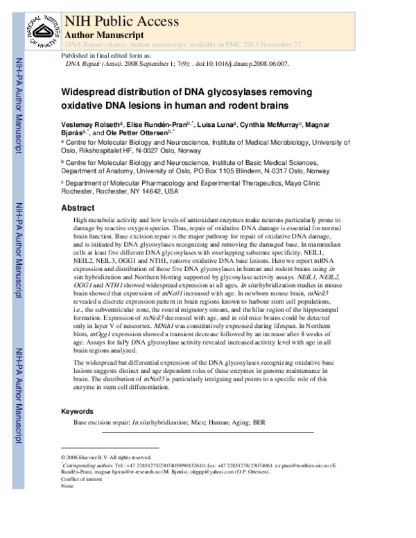 (PDF) Widespread distribution of DNA glycosylases removing oxidative ...