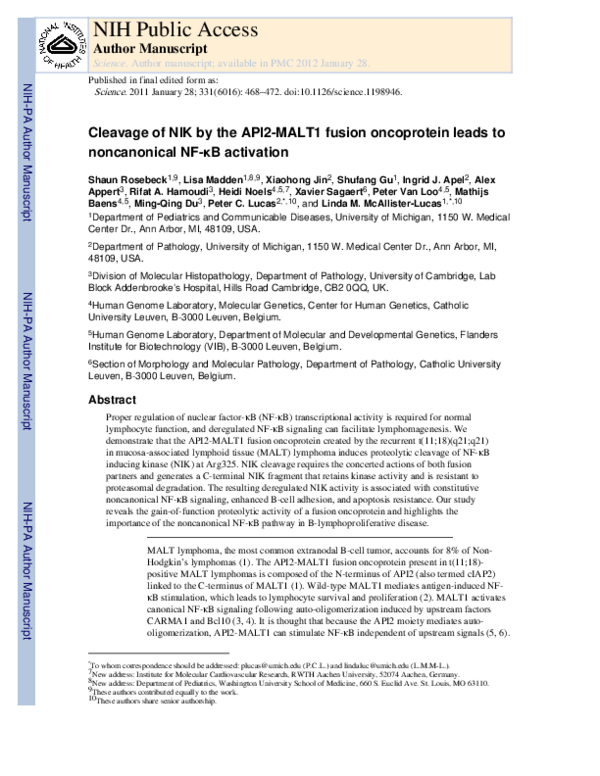 (PDF) Cleavage of NIK by the API2-MALT1 Fusion Oncoprotein Leads to ...