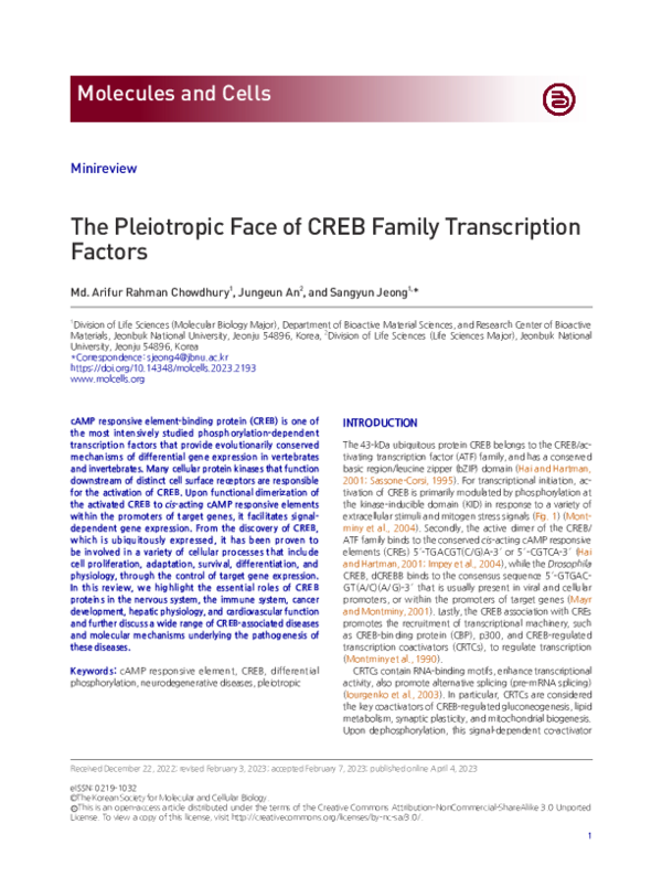 (PDF) The Pleiotropic Face of CREB Family Transcription Factors