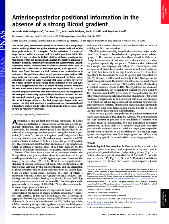 (PDF) Anterior-posterior positional information in the absence of a ...