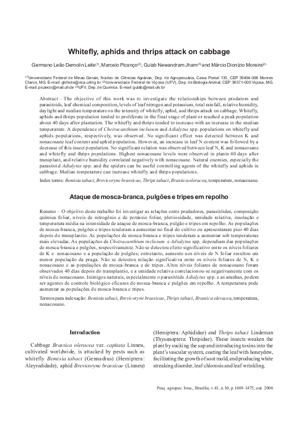 (PDF) Whitefly, aphids and thrips attack on cabbage