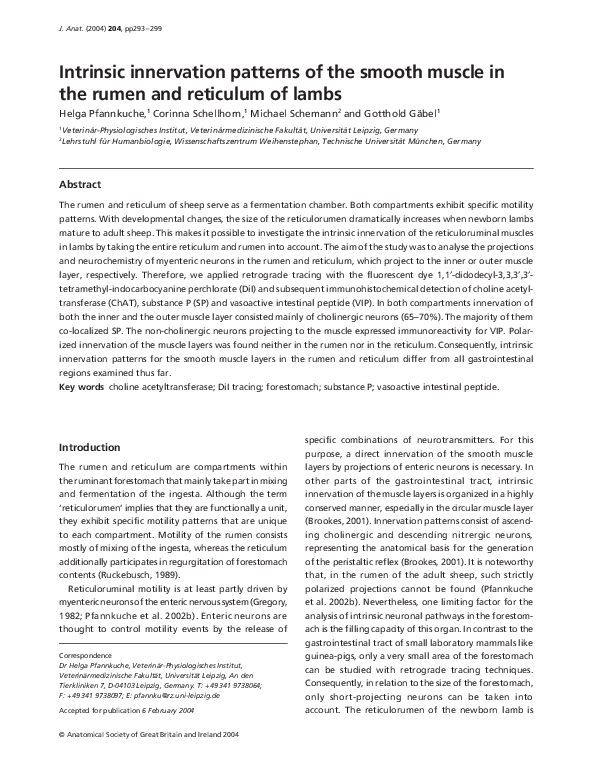 (PDF) Intrinsic innervation patterns of the smooth muscle in the rumen ...