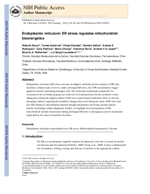 (PDF) Endoplasmic reticulum: ER stress regulates mitochondrial ...