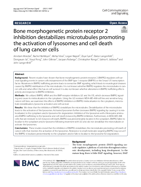 (PDF) Bone morphogenetic protein receptor 2 inhibition destabilizes ...