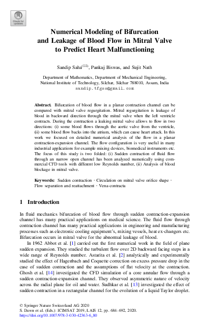 (PDF) Numerical Modeling of Bifurcation and Leakage of Blood Flow in ...