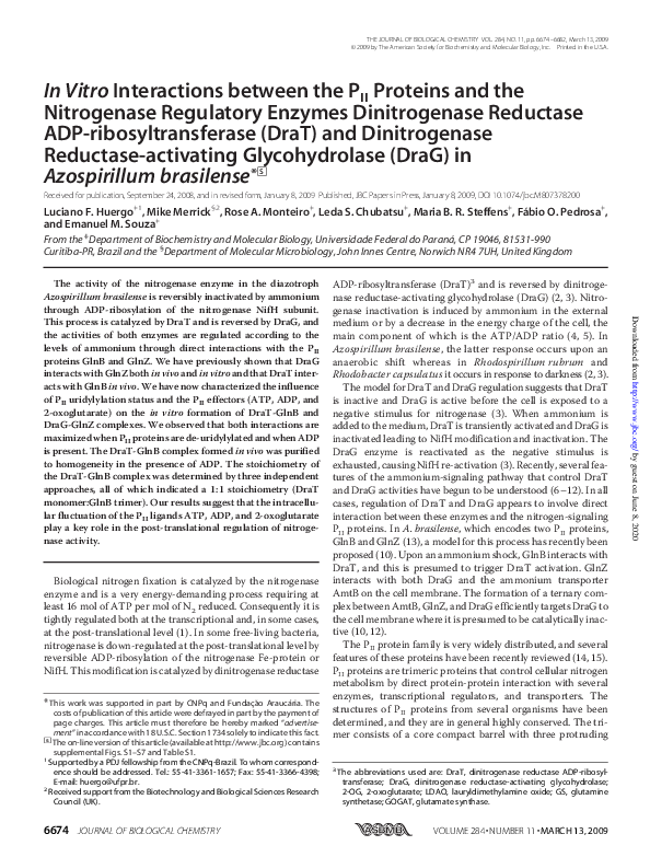 (PDF) In Vitro Interactions between the PII Proteins and the ...
