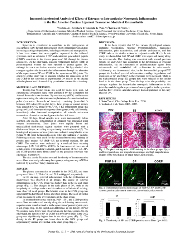 (PDF) Immunohistochemical Analysis of the Effects of Estrogen on ...