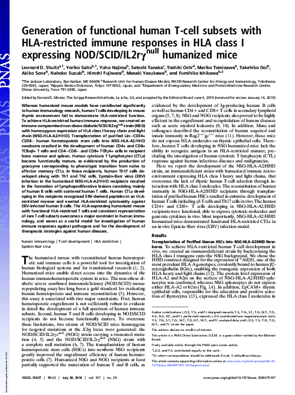 (PDF) Generation of functional human T-cell subsets with HLA-restricted ...