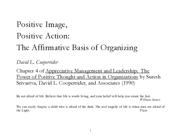 (PDF) Positive image, positive action: The affirmative basis of organizing