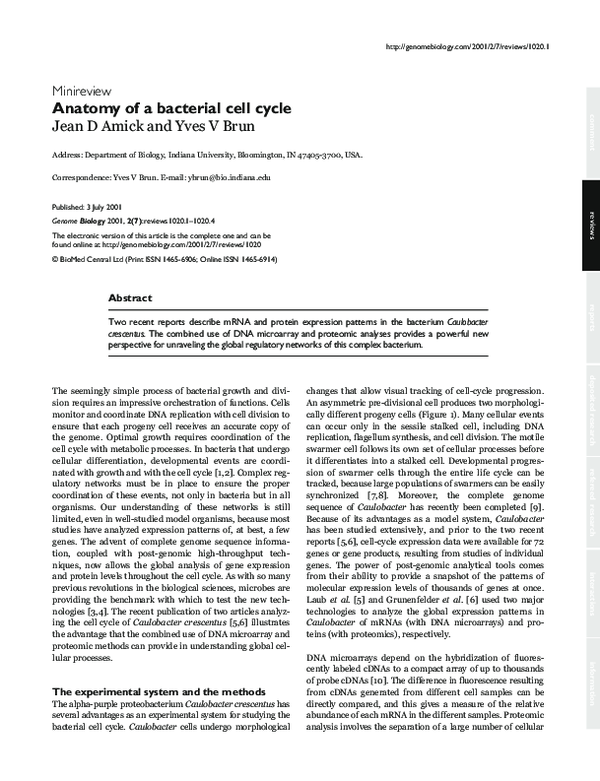 (PDF) Anatomy of a bacterial cell cycle