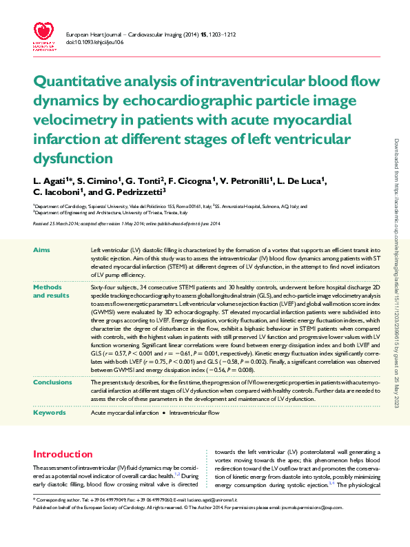 (PDF) Quantitative analysis of intraventricular blood flow dynamics by ...