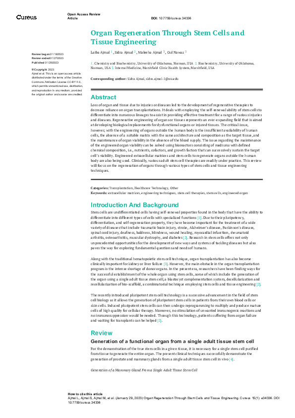 (PDF) Organ Regeneration Through Stem Cells and Tissue Engineering