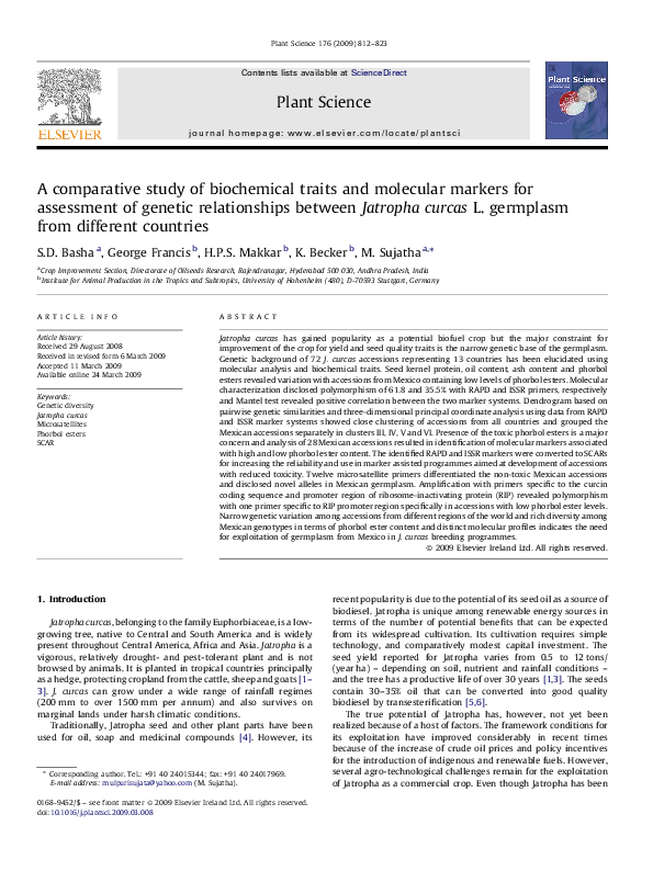 (PDF) A comparative study of biochemical traits and molecular markers ...