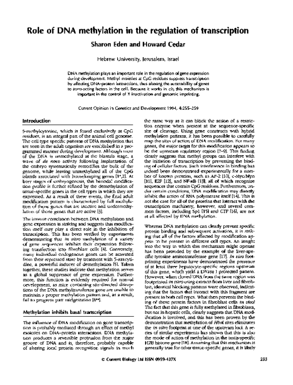 (PDF) Role of DNA methylation in the regulation of transcription