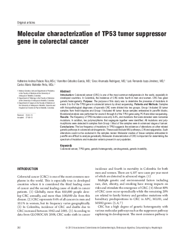 Tp53 Tumor Suppressor: P53 Protein – PUNMCW