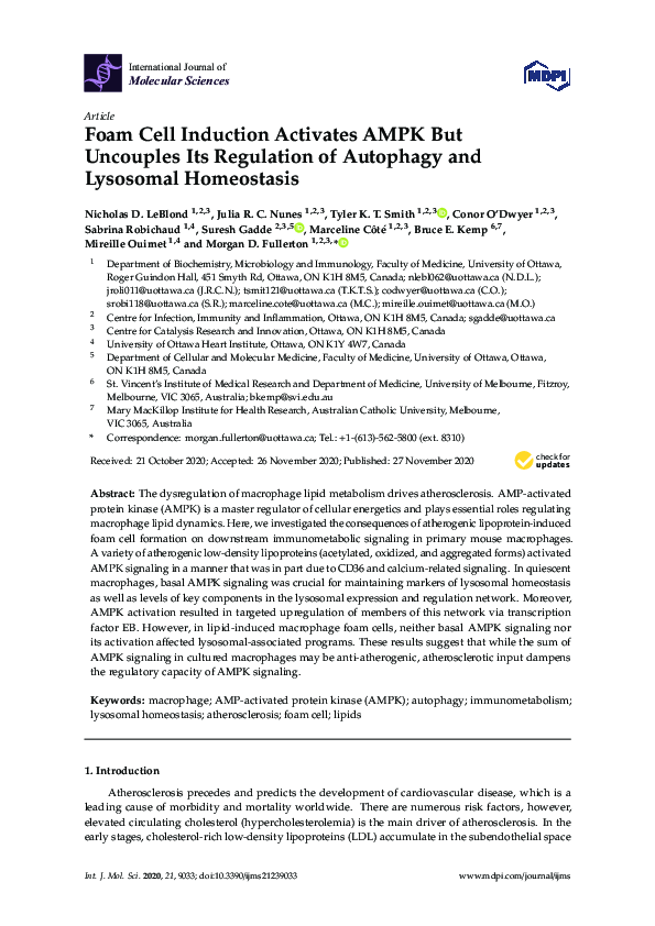 (PDF) Foam cell induction activates AMPK but uncouples its regulation ...