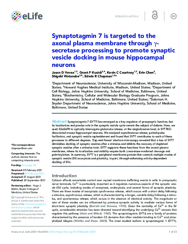 (PDF) Synaptotagmin 7 is targeted to the axonal plasma membrane through ... - Sensitive Synaptotagmin 7 And The