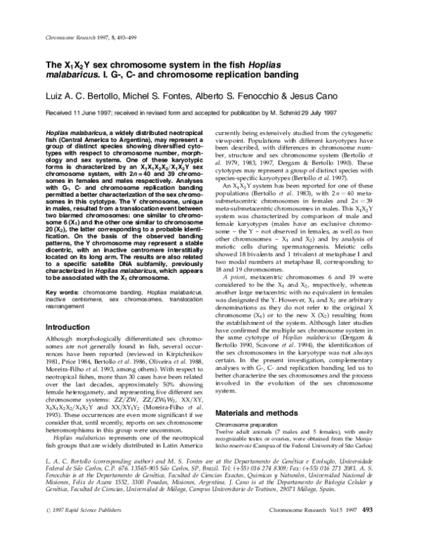 (PDF) The X 1 X 2 Y sex chromosome system in the fish Hoplias ...