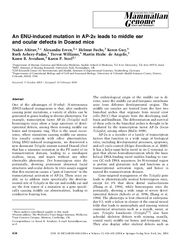 (PDF) An ENU-induced mutation in AP-2α leads to middle earand ocular ...