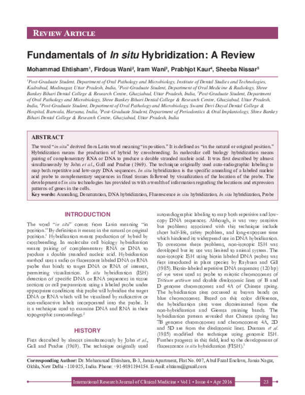 (PDF) Fundamentals of In situ Hybridization: A Review