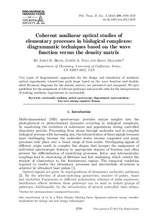 (PDF) Coherent nonlinear optical studies of elementary processes in ...
