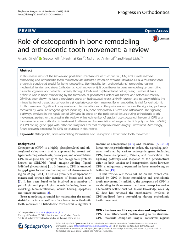 (PDF) Role of osteopontin in bone remodeling and orthodontic tooth ...