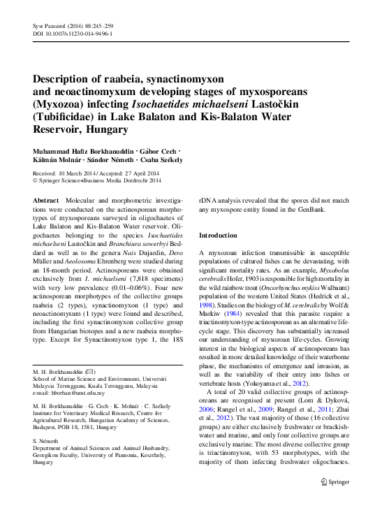 (PDF) Description of raabeia, synactinomyxon and neoactinomyxum ...