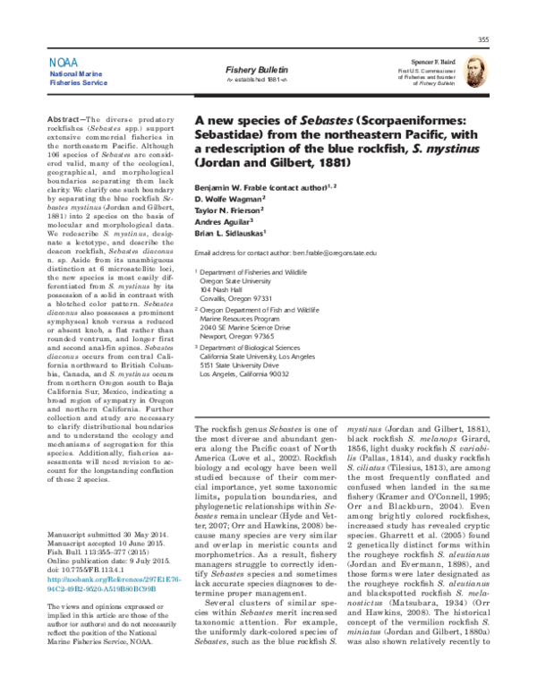 (PDF) A new species of Sebastes (Scorpaeniformes: Sebastidae) from the ...