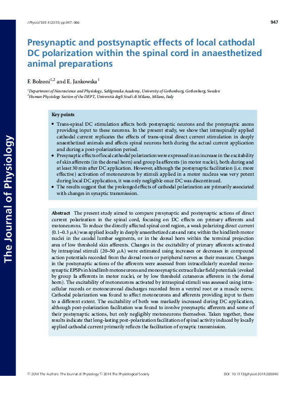 (PDF) Presynaptic and postsynaptic effects of local cathodal DC ...