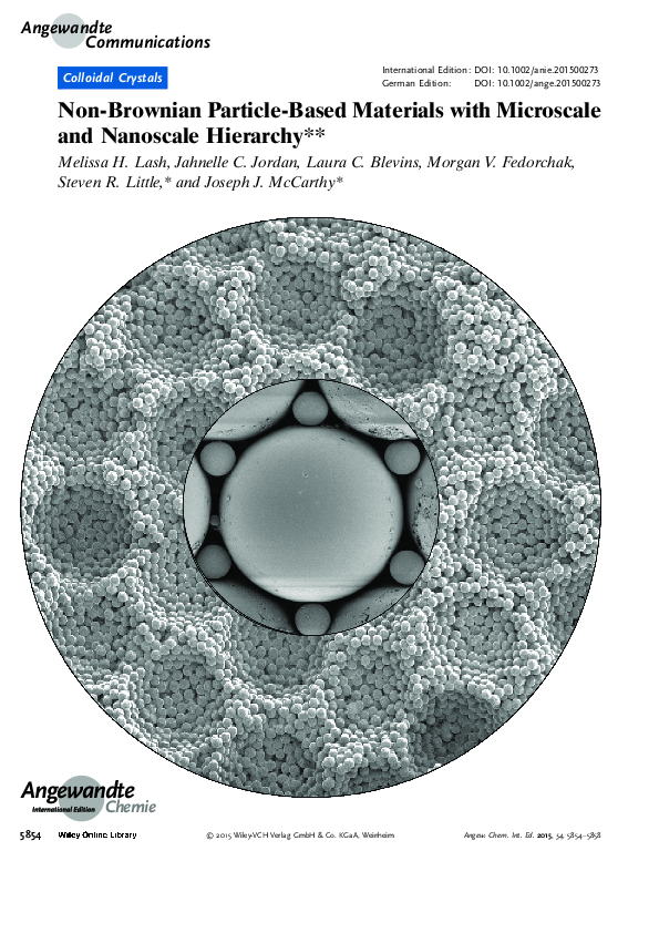 (PDF) Frontispiece: Non-Brownian Particle-Based Materials with ...