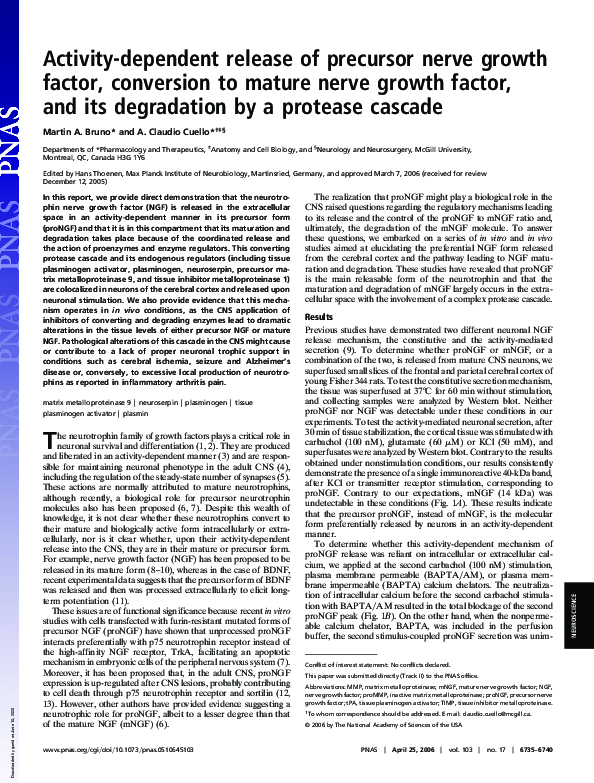 (PDF) Activity-dependent release of precursor nerve growth factor ...