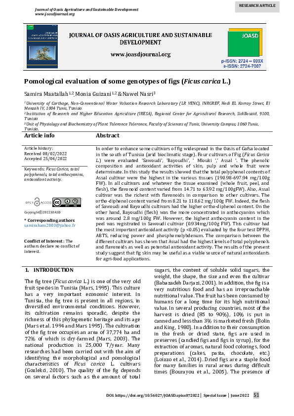 (PDF) Pomological evaluation of some genotypes of figs (Ficus carica L.)