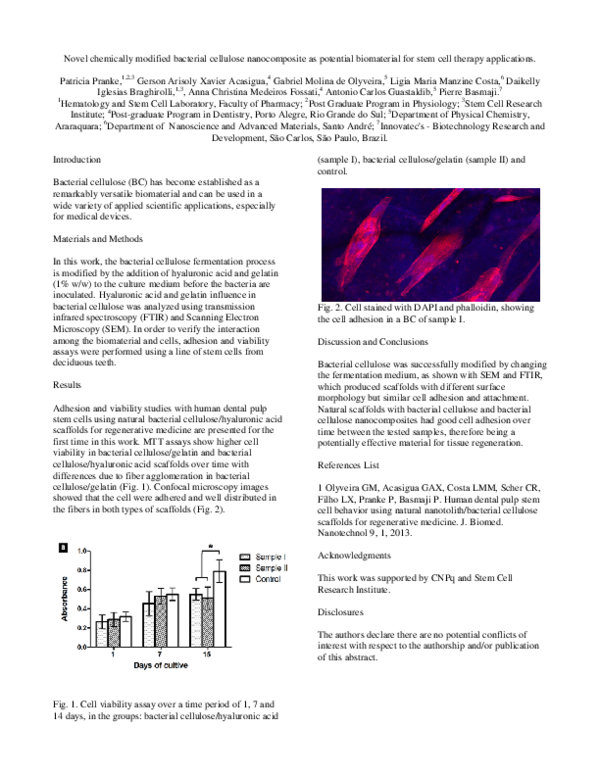(PDF) Novel Chemically Modified Bacterial Cellulose Nanocomposite as ...