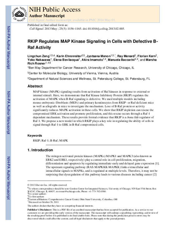 (PDF) RKIP regulates MAP kinase signaling in cells with defective B-Raf ...