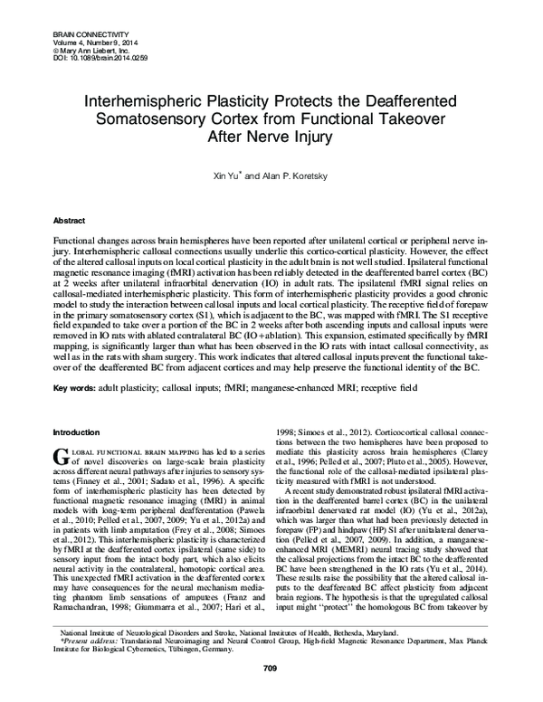 (PDF) Interhemispheric plasticity protects the deafferented ...