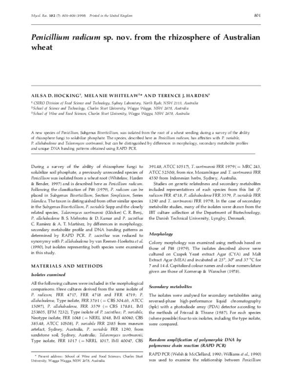 (PDF) Penicillium radicum sp. nov. from the rhizosphere of Australian wheat