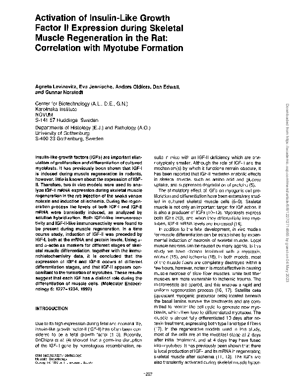 (PDF) Activation of insulin-like growth factor II expression during ...