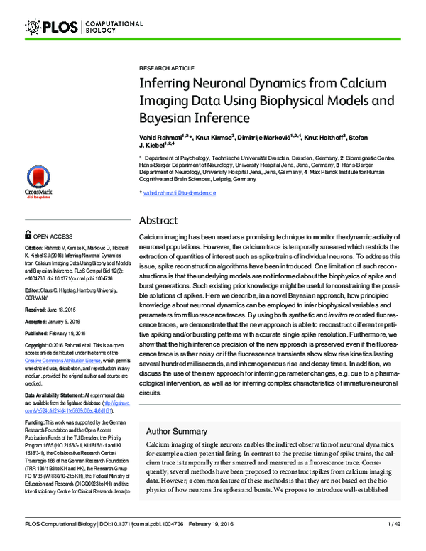 (PDF) Inferring Neuronal Dynamics from Calcium Imaging Data Using ...