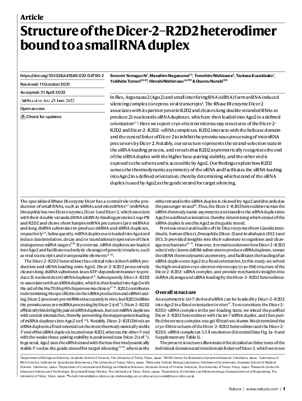 (PDF) Structure of the Dicer-2–R2D2 heterodimer bound to a small RNA duplex
