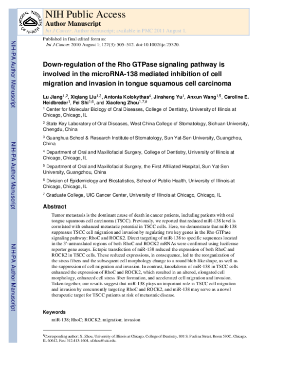 (PDF) Downregulation of the Rho GTPase signaling pathway is involved in ...