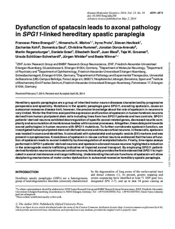(PDF) Dysfunction of spatacsin leads to axonal pathology in SPG11 ...