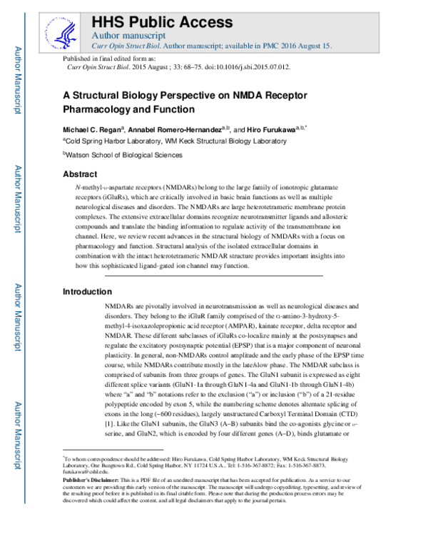 (PDF) A structural biology perspective on NMDA receptor pharmacology ...