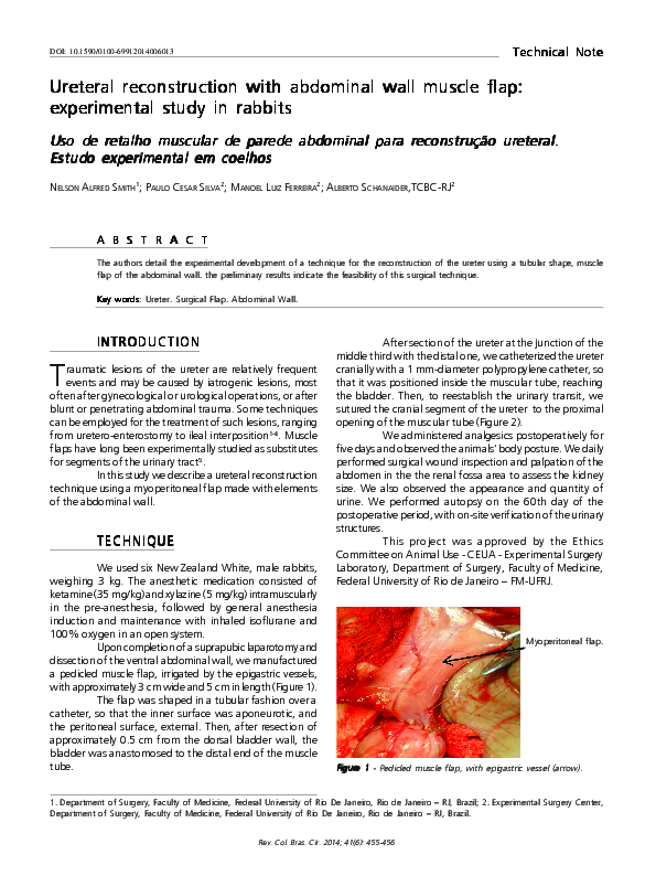 (PDF) Ureteral reconstruction with abdominal wall muscle flap ...