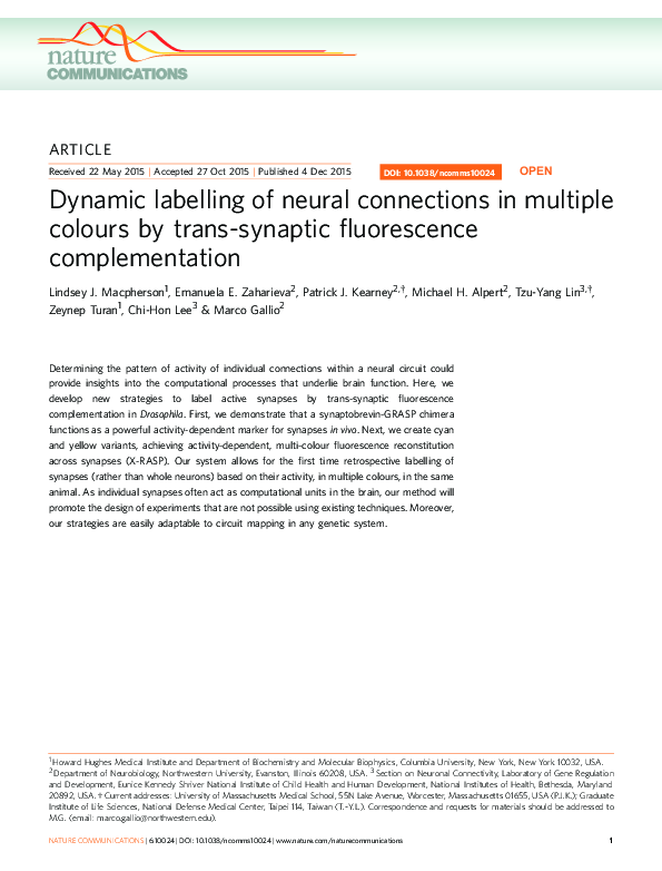 (PDF) Dynamic labelling of neural connections in multiple colours by ...