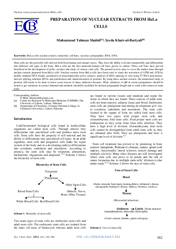 (PDF) PREPARATION OF NUCLEAR EXTRACTS FROM HeLa CELLS