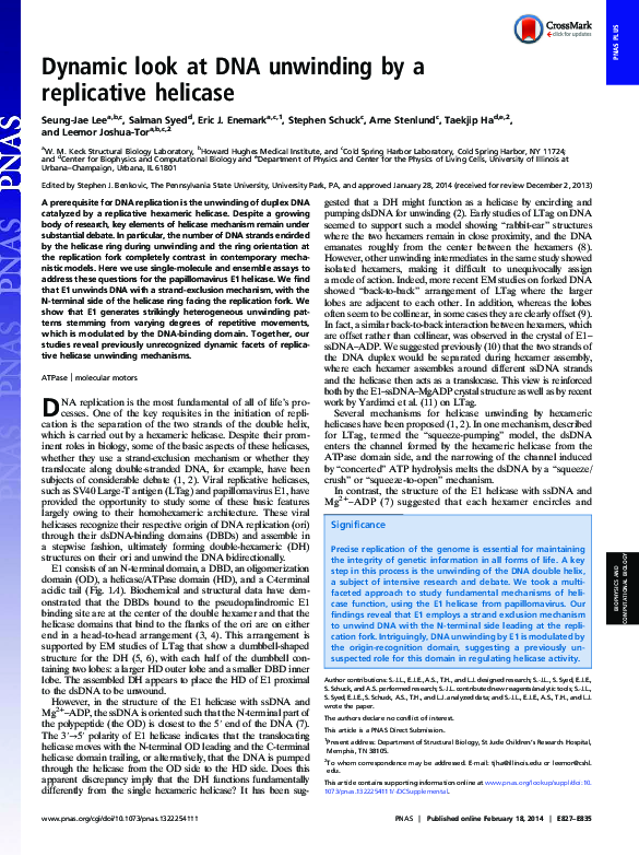 (PDF) Dynamic look at DNA unwinding by a replicative helicase