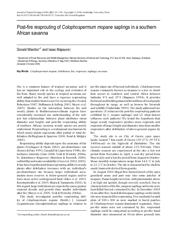 (PDF) Post-fire resprouting of Colophospermum mopane saplings in a ...